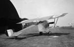 escadrille 69 Nieuport 1730 Guillermin 